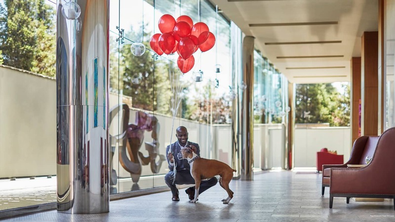 Фото Four Seasons Hotel St Louis