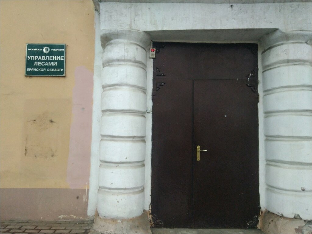 Administration Upravleniye Lesami Bryanskoy oblasti, Bryansk, photo