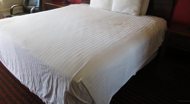 Фото The L Motel