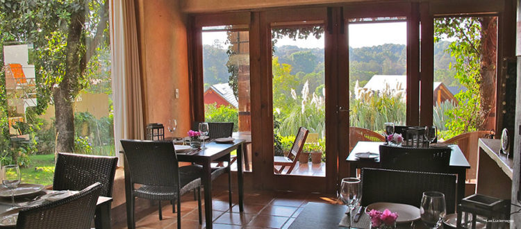 Фото Las Luciérnagas