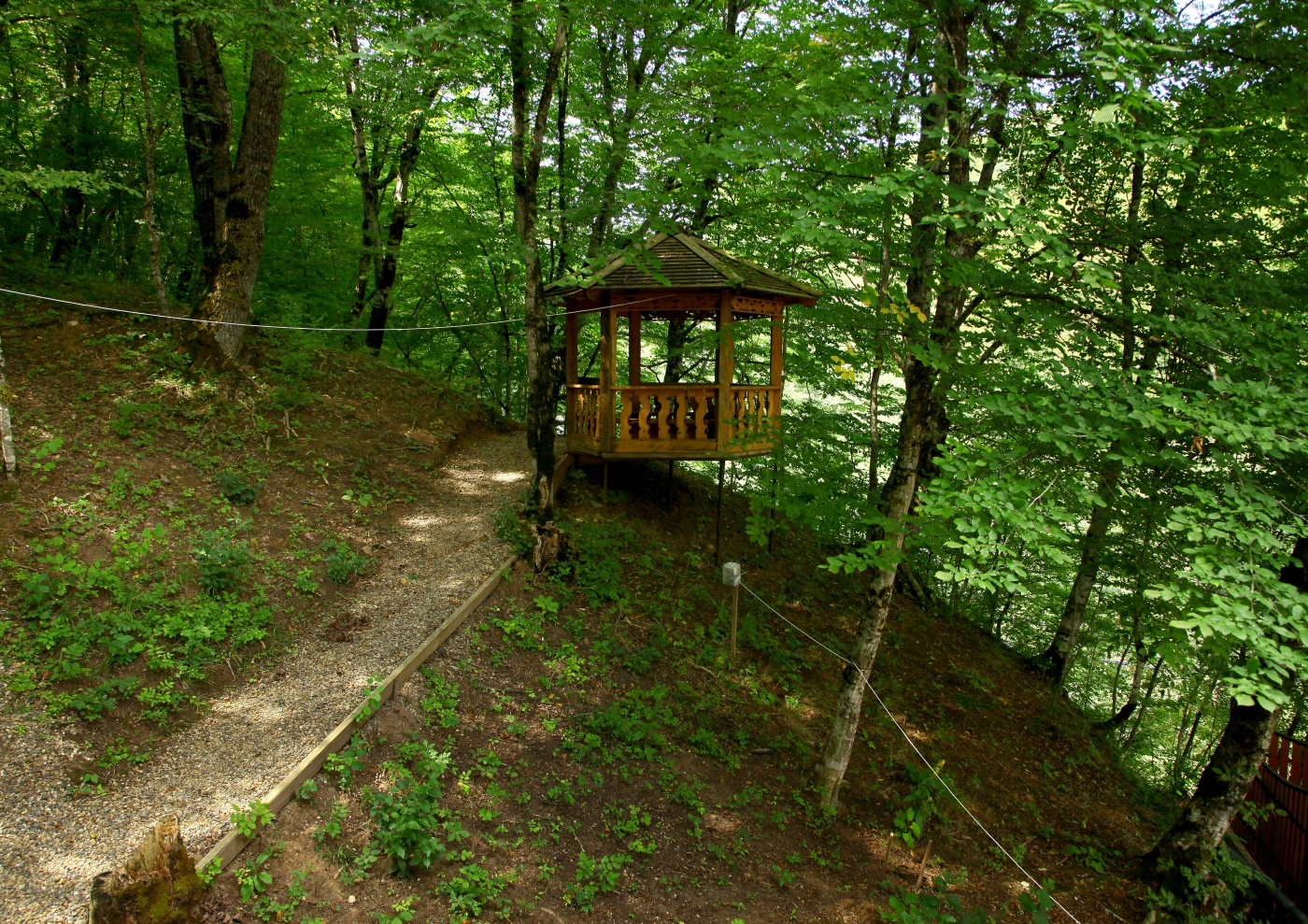 Фото Грин Хаус