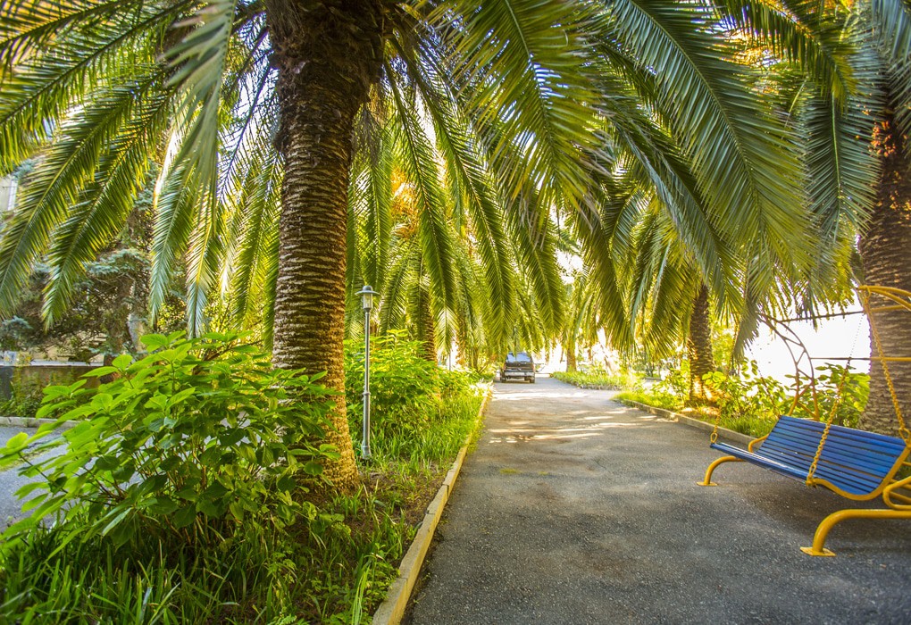 Фото Золотые пески