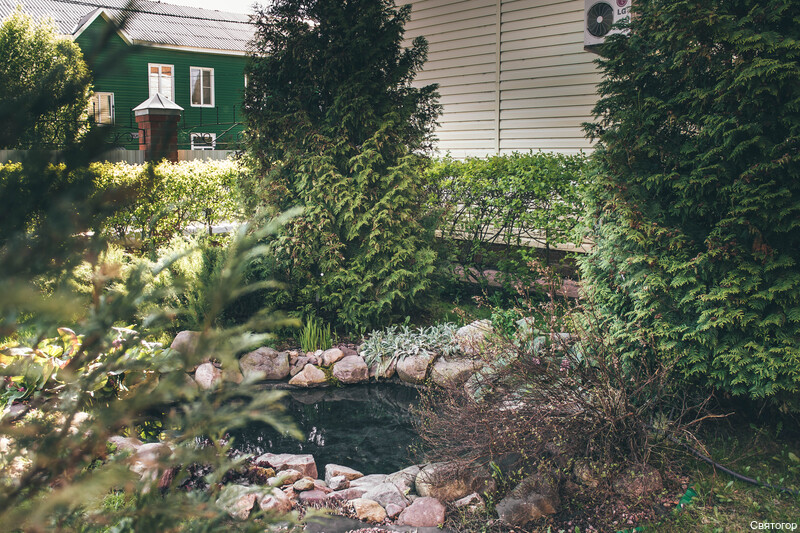 Фото Святогор