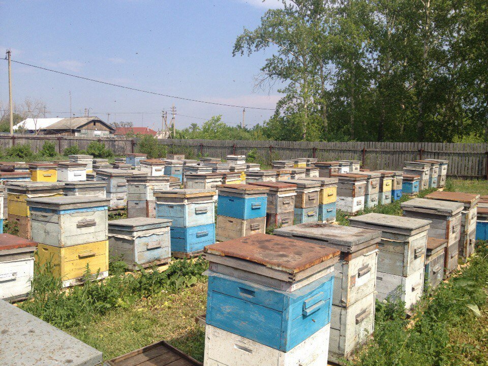 Пасека Тюмень Магазин Каталог Официальный Сайт