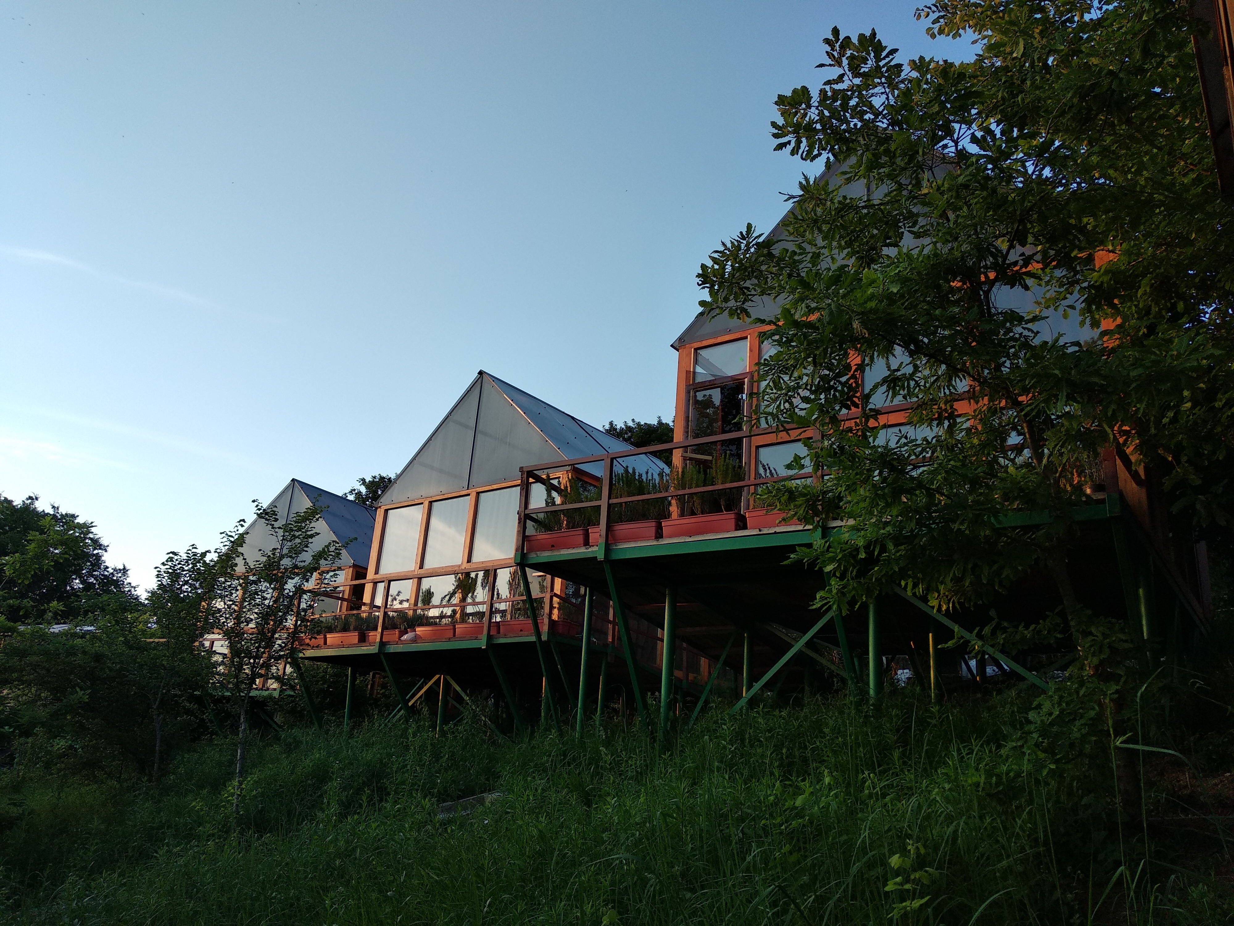 Фото Оранжереи