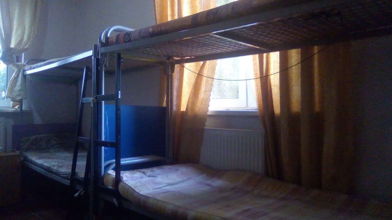 Фото Вежливый Лось