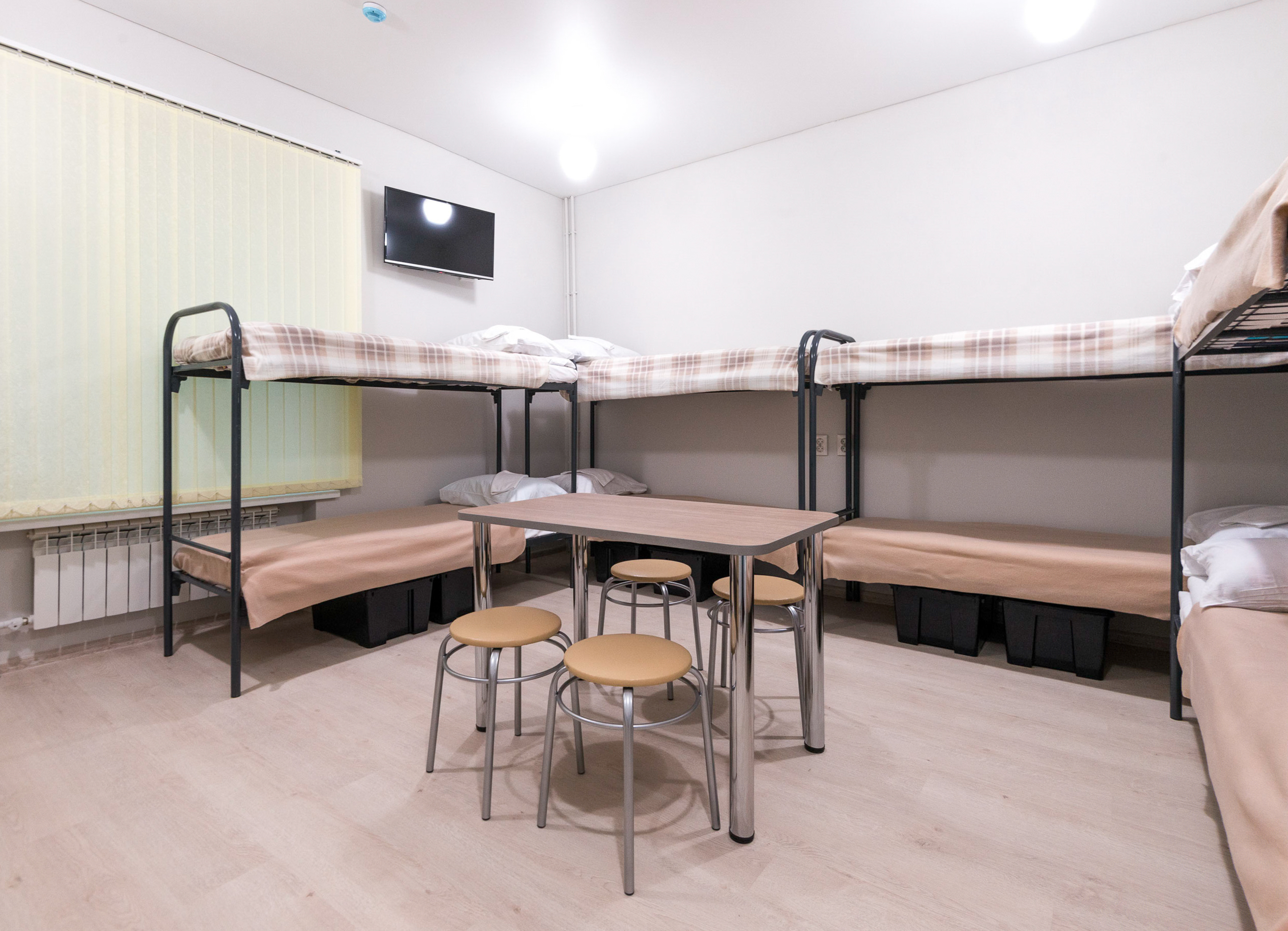 Фото Поживика