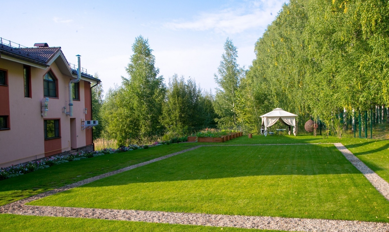 Фото Гнездо