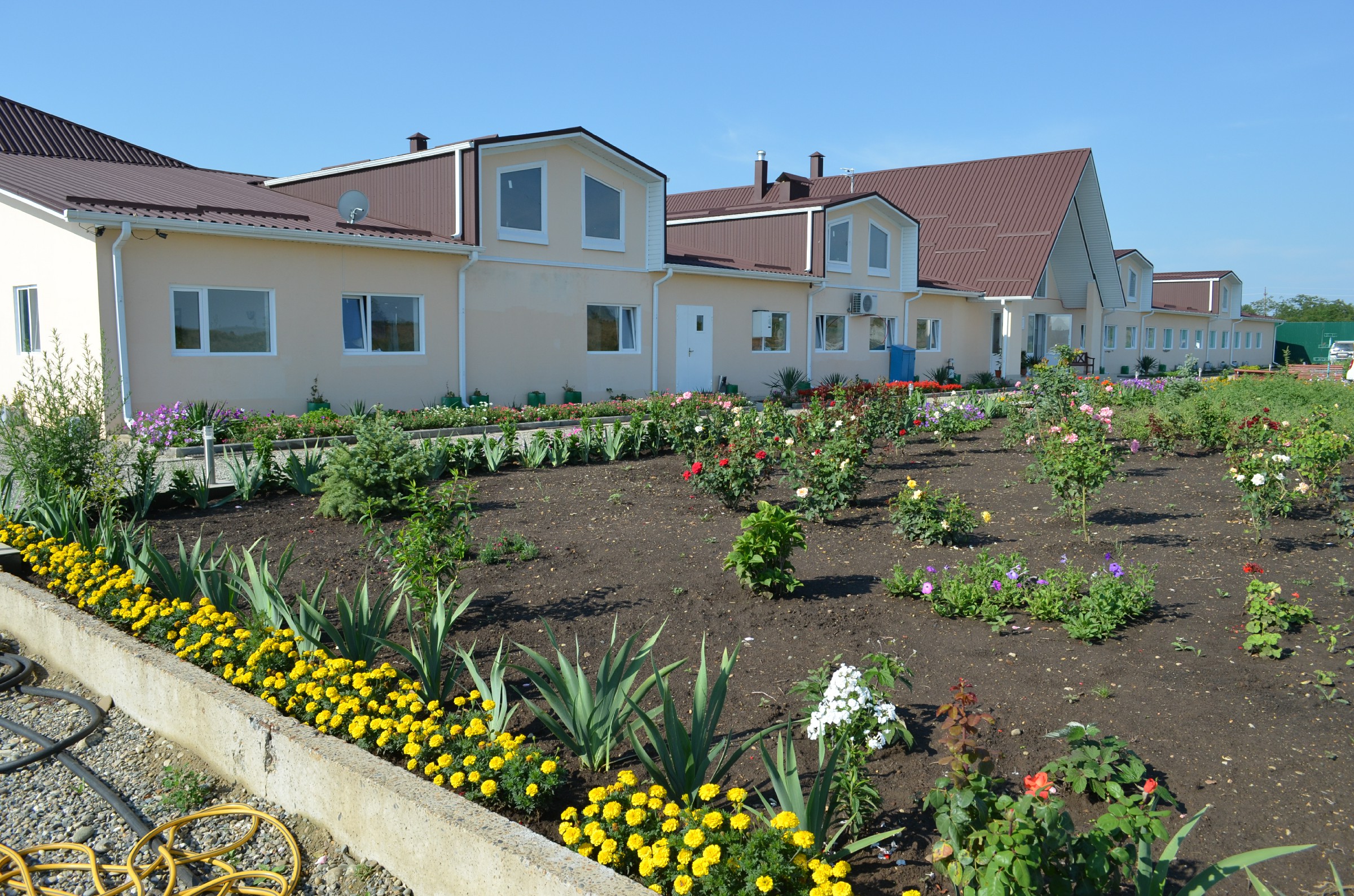 Фото Аква Тоника