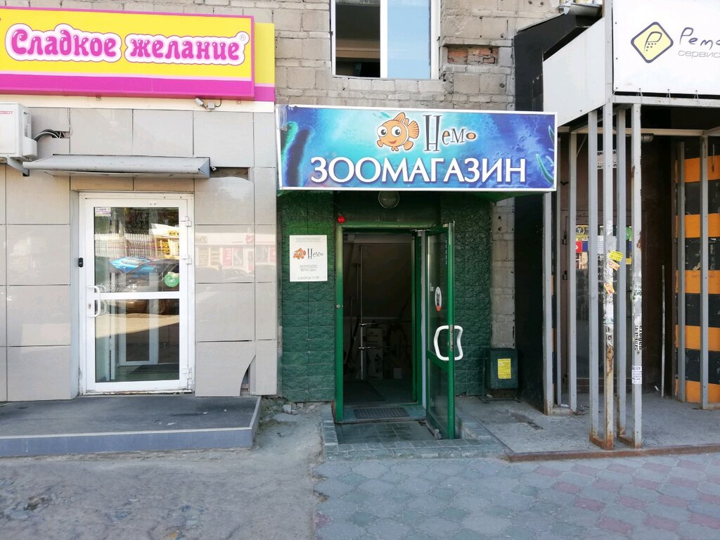 Зоомагазин Немо, Новосибирск, фото