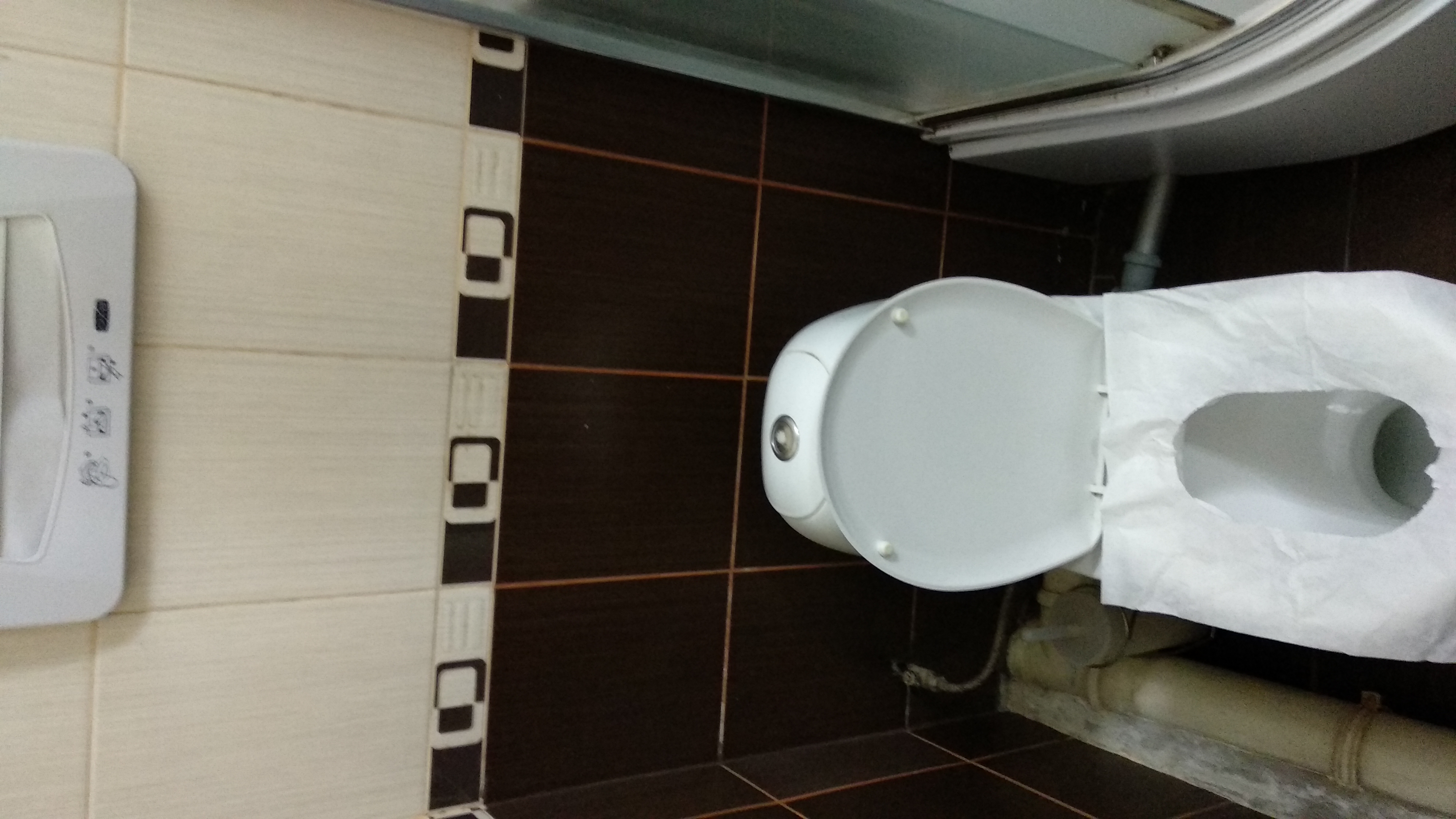 Фото Добрый Кот