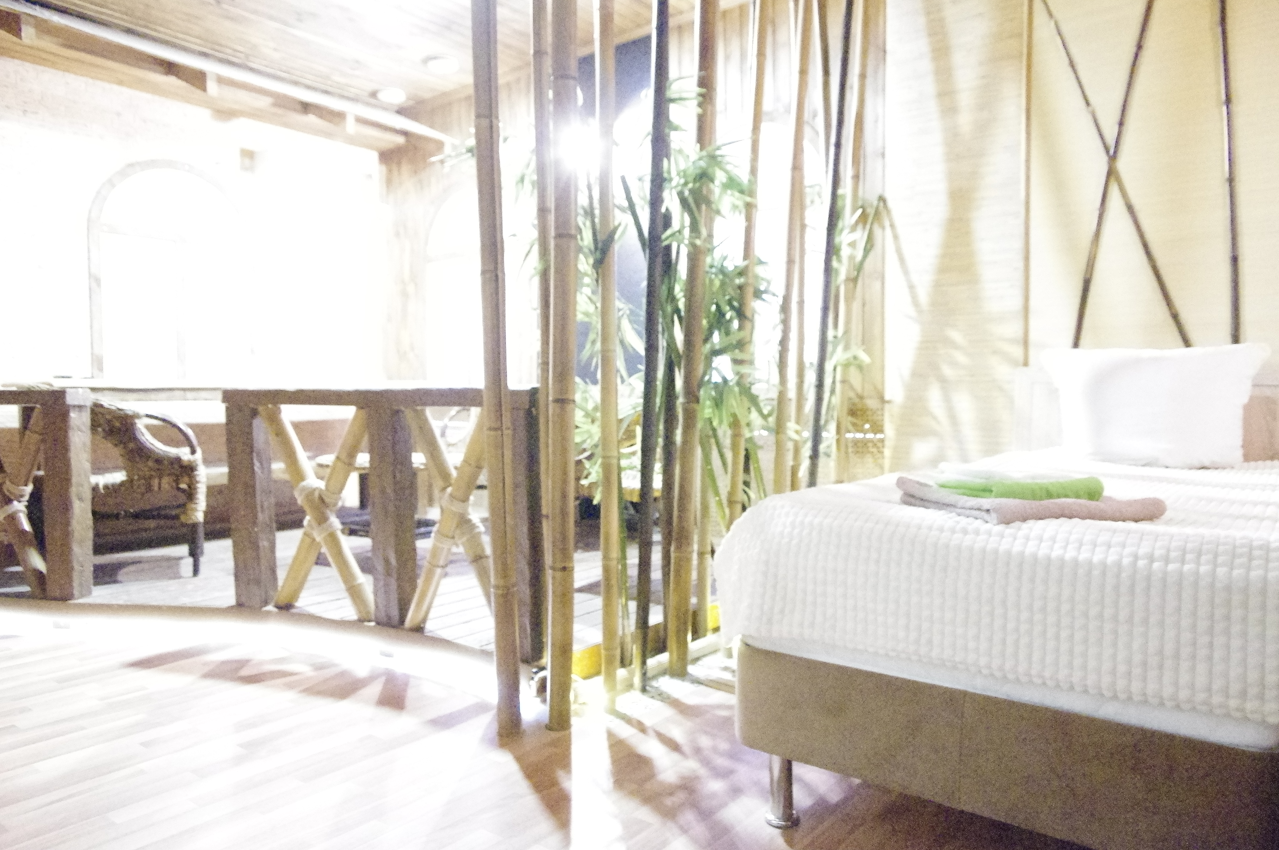 Фото SpaHotel Plaza