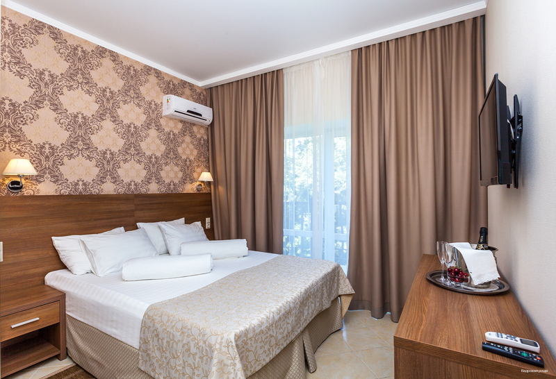 Фото Кедровая роща