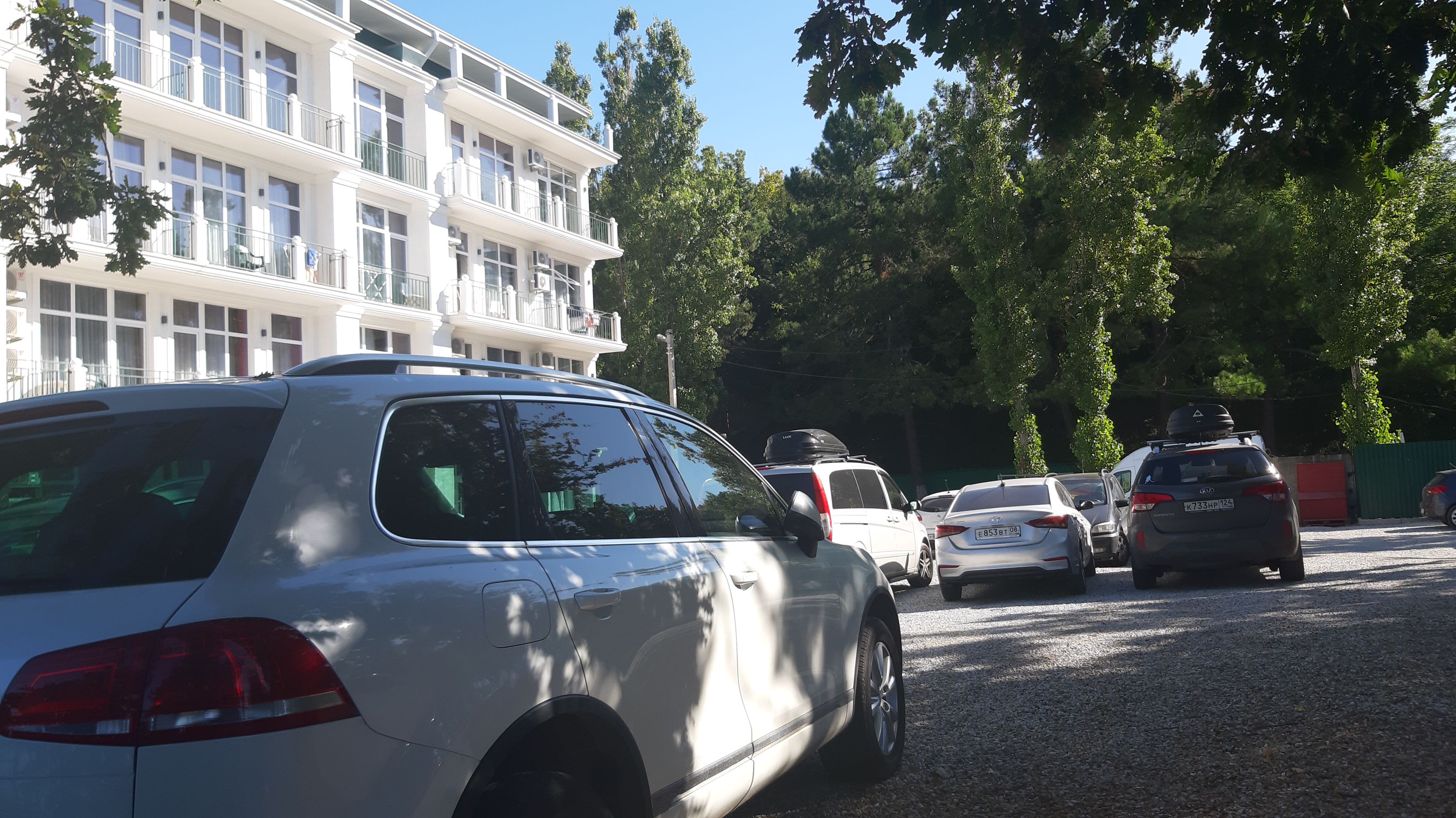 Фото Мироген