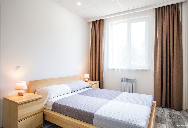 Фото Дублин Дельфин