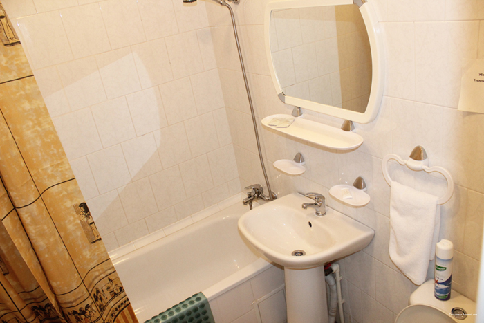 Фото Золотой лев