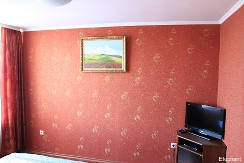 Фото Элефант