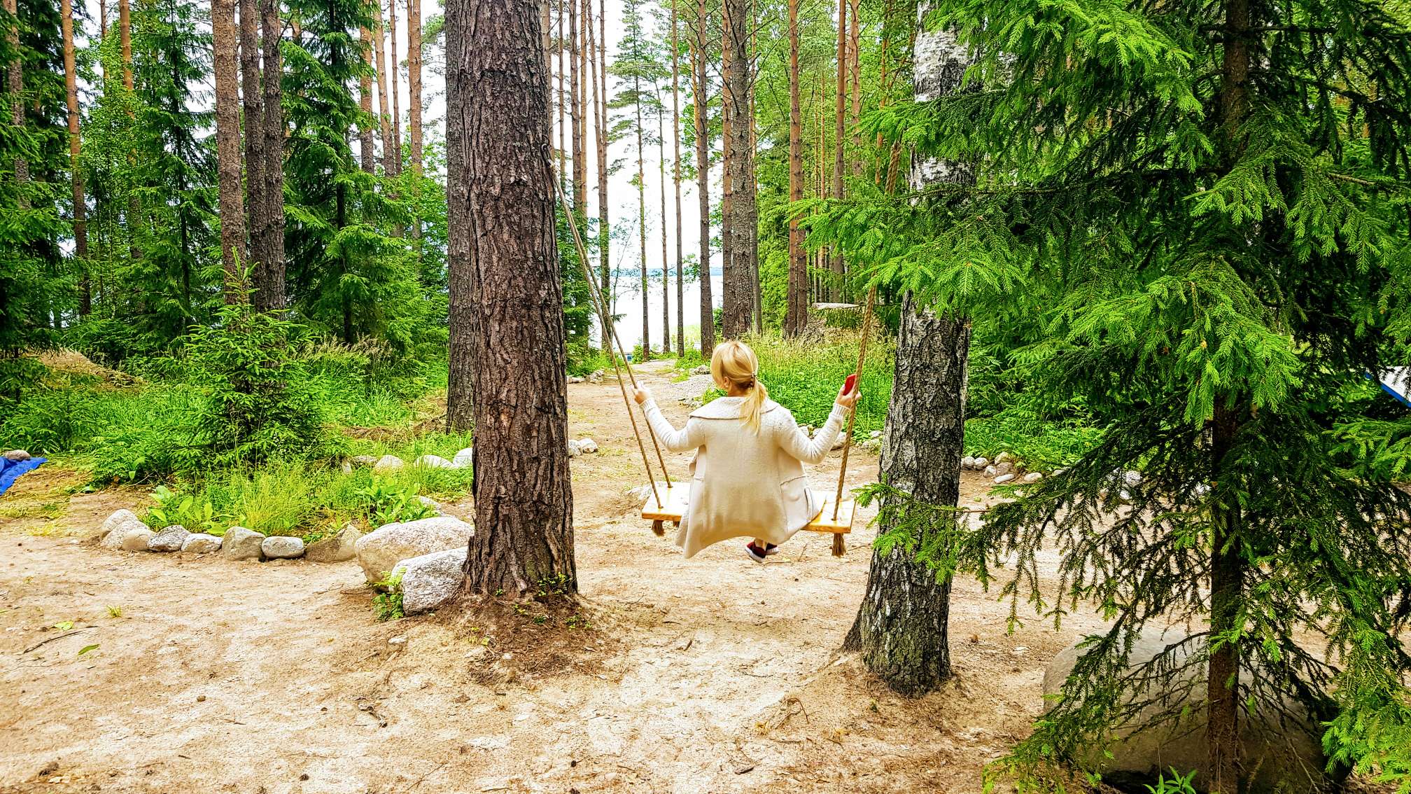 Фото Черная лиса