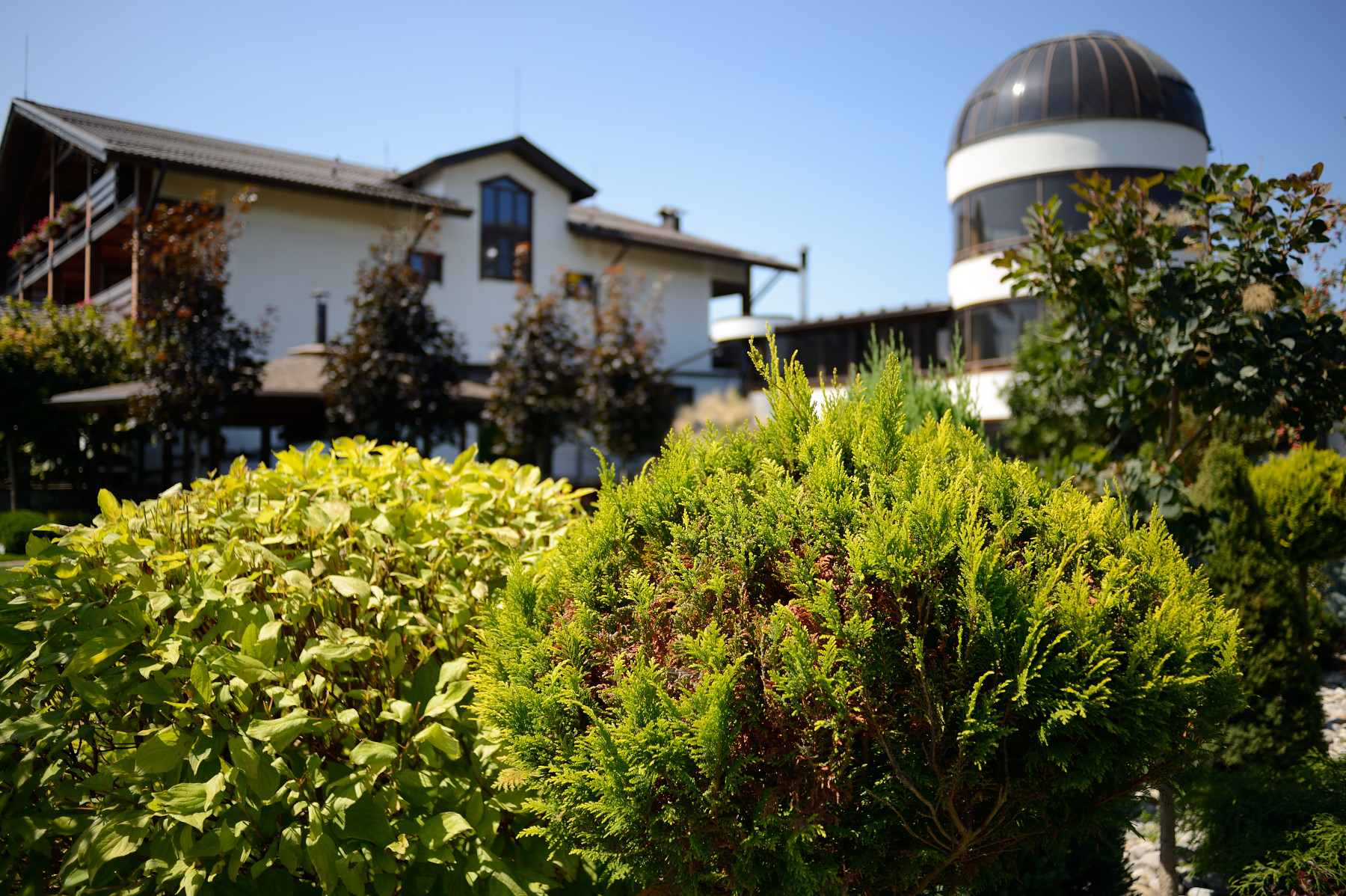 Фото Усадьба Парфенова
