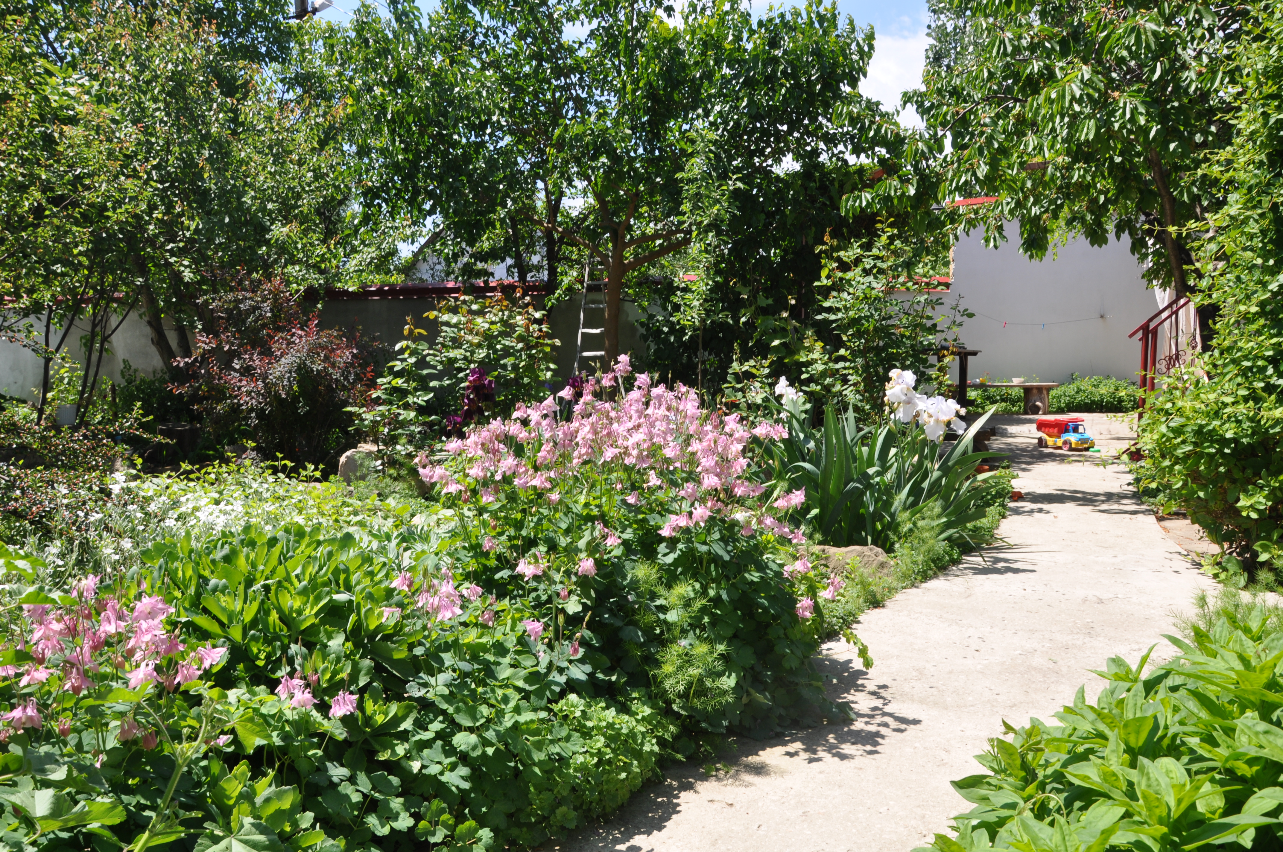 Фото Домик скульптора