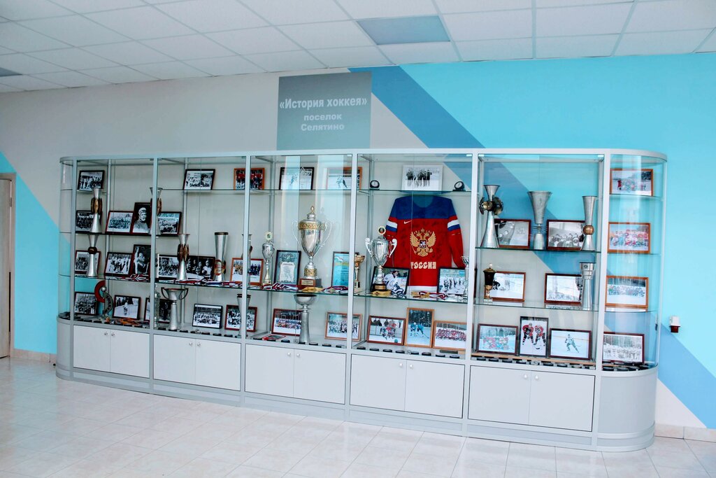مركز رياضي Ice Arena named after V. Myshkin ، موسكو ومحافظة موسكو، صورة