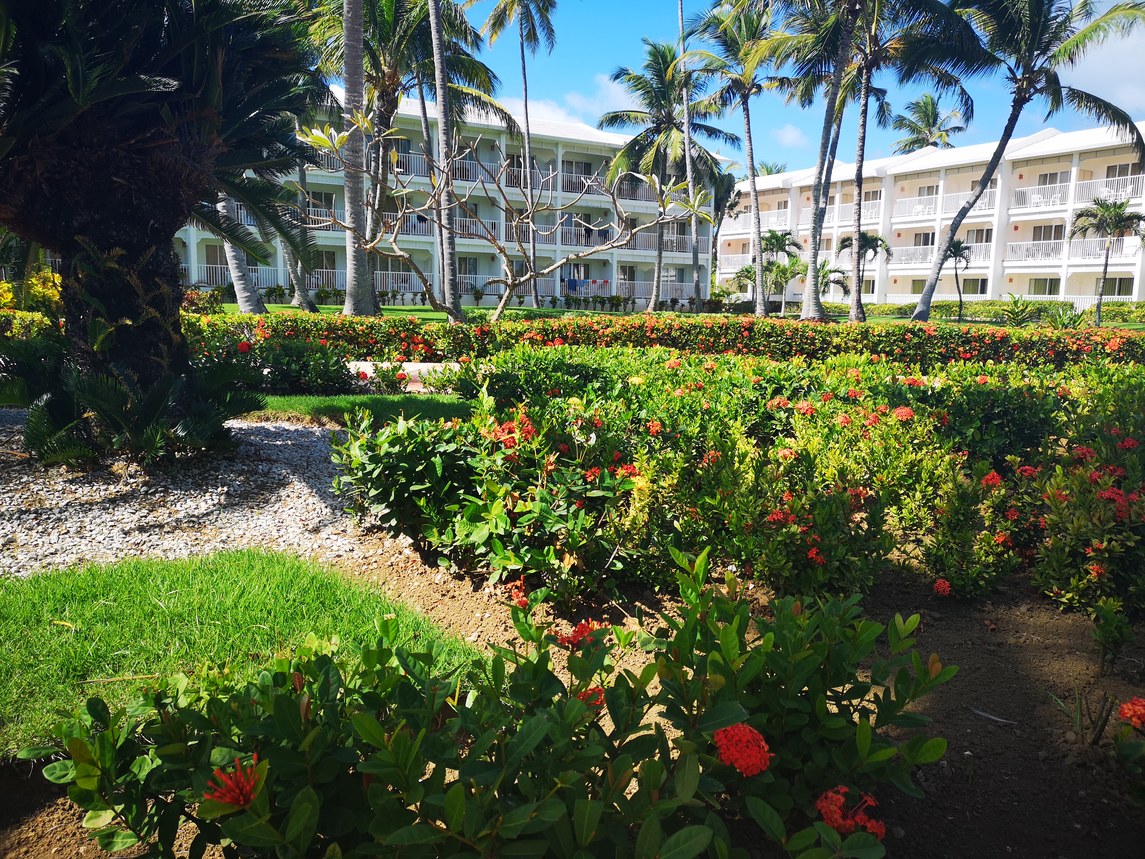 Фото Vik Hotel Arena Blanca