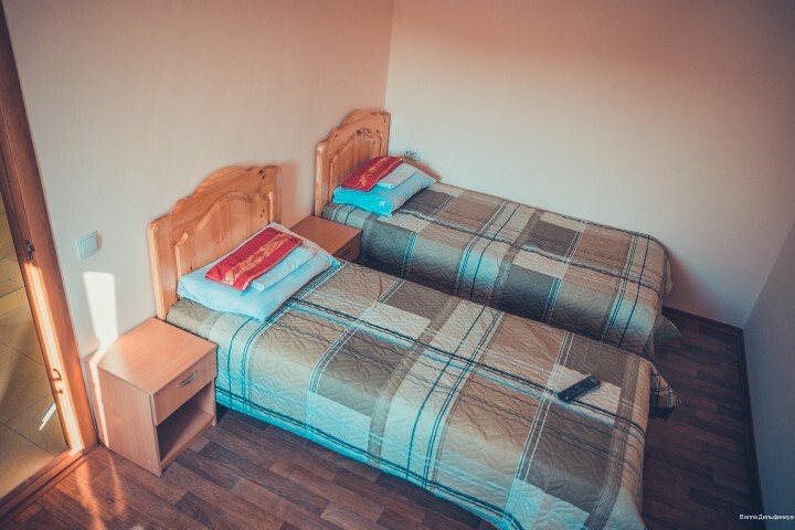 Фото Дельфиниум