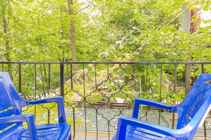 Фото Восторг