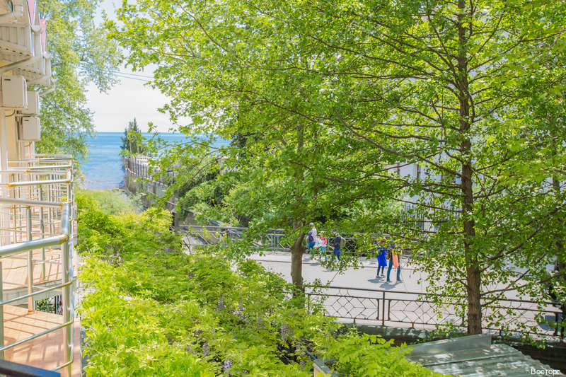 Фото Восторг