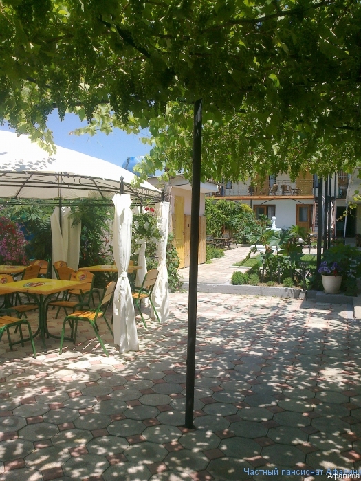 Фото Афалина