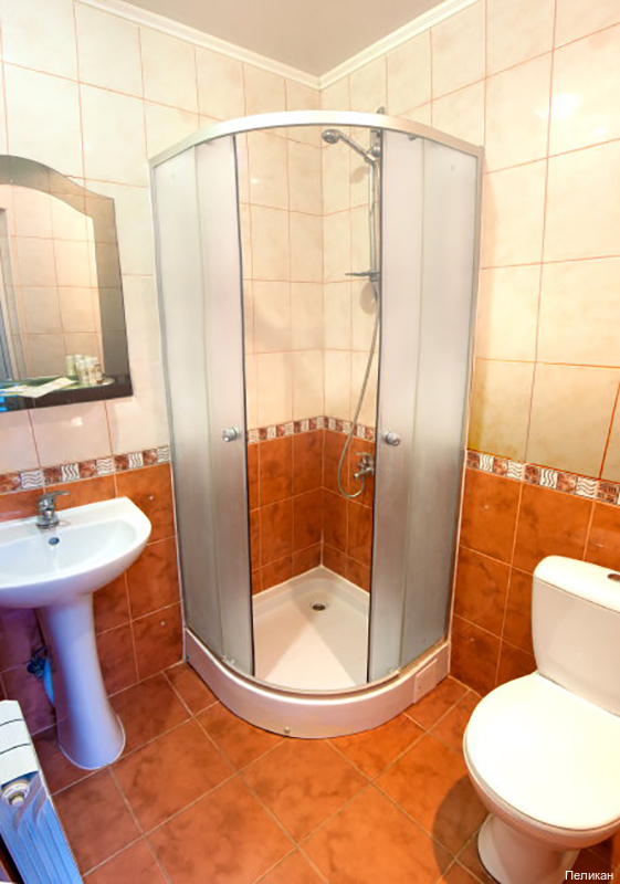 Фото Пеликан
