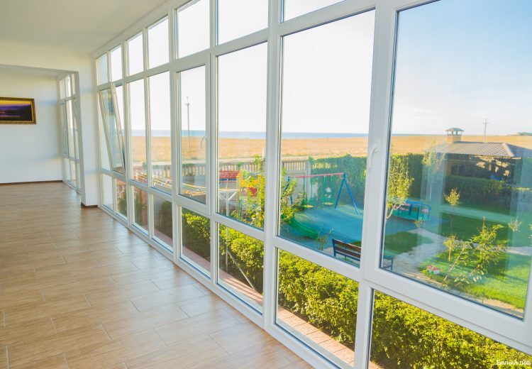 Фото Белый Лев