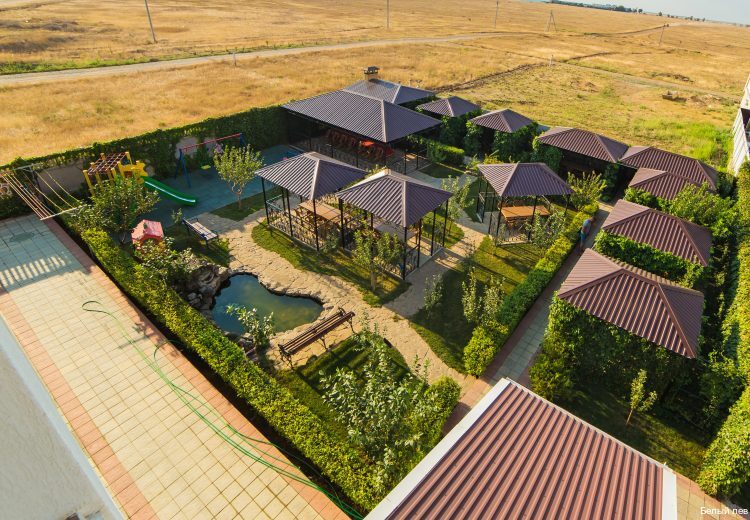 Фото Белый Лев