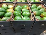 Wholesale of Fruits and Vegetables Enigma Fruits Ltd (Netanya, HaBonim), vegetables and fruit wholesale