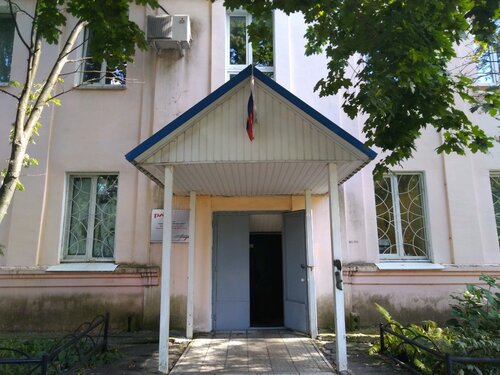 Брянский партизан уаз
