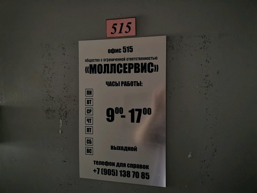 Cleaning services МоллСервис, Yaroslavl, photo