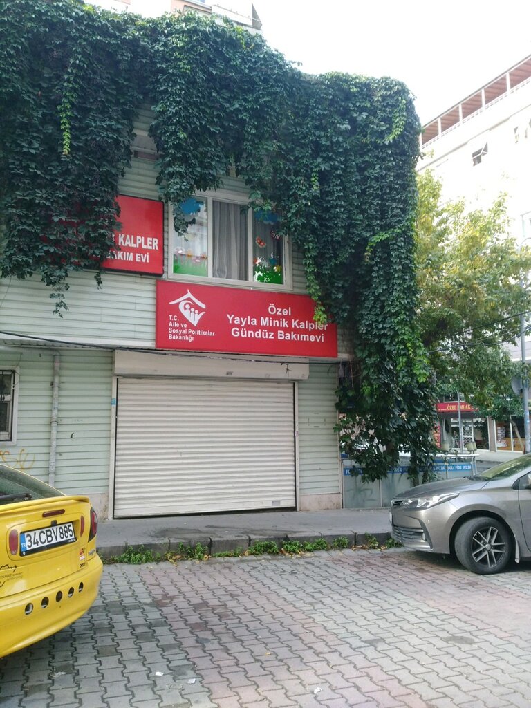 School Private Yayla Little Hearts Day Care Center, Istanbul, photo