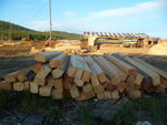 СибРегион (Свердловская ул., 11), лесозаготовка, продажа леса в Красноярске