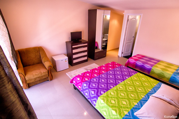 Фото Колибри