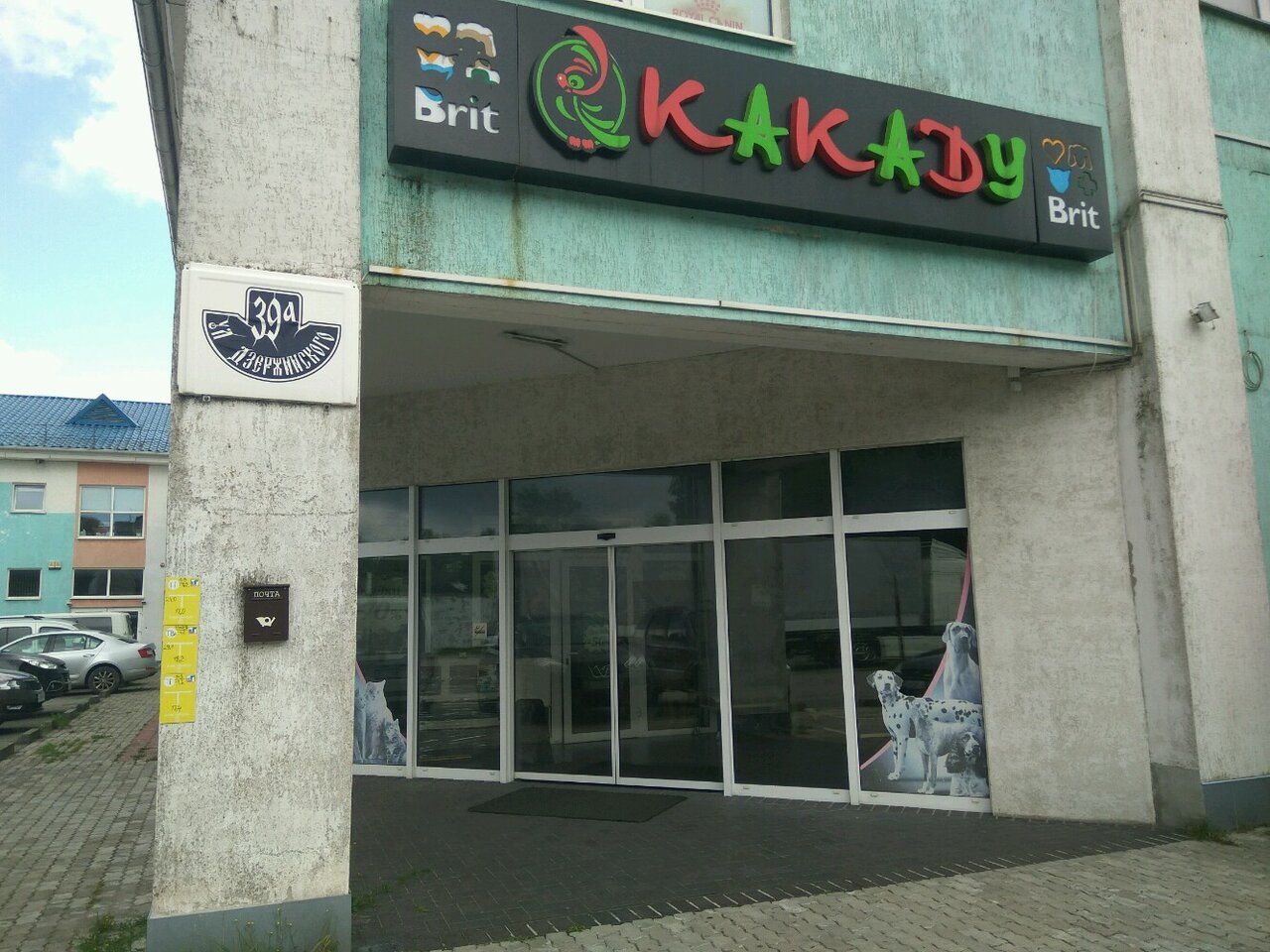 Магазин Какаду В Калининграде