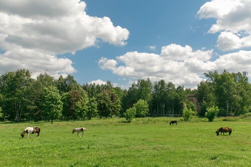 Дом Отдыха Зеленый городок