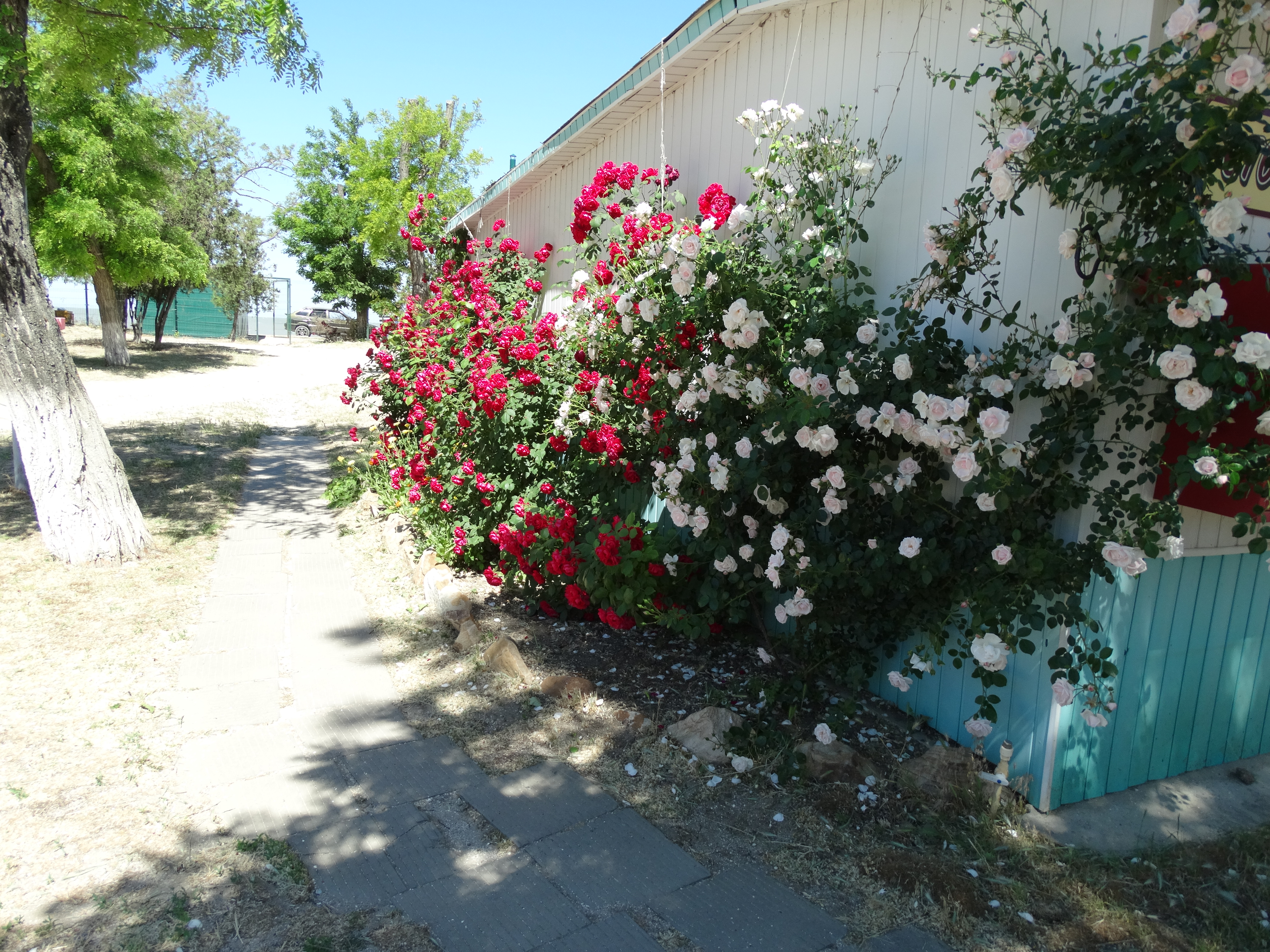 Фото Песчаная коса