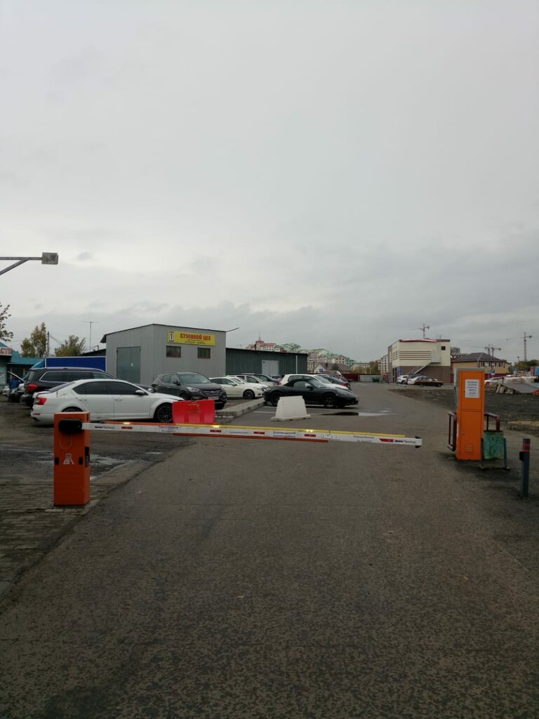 Дикрис авто развилка