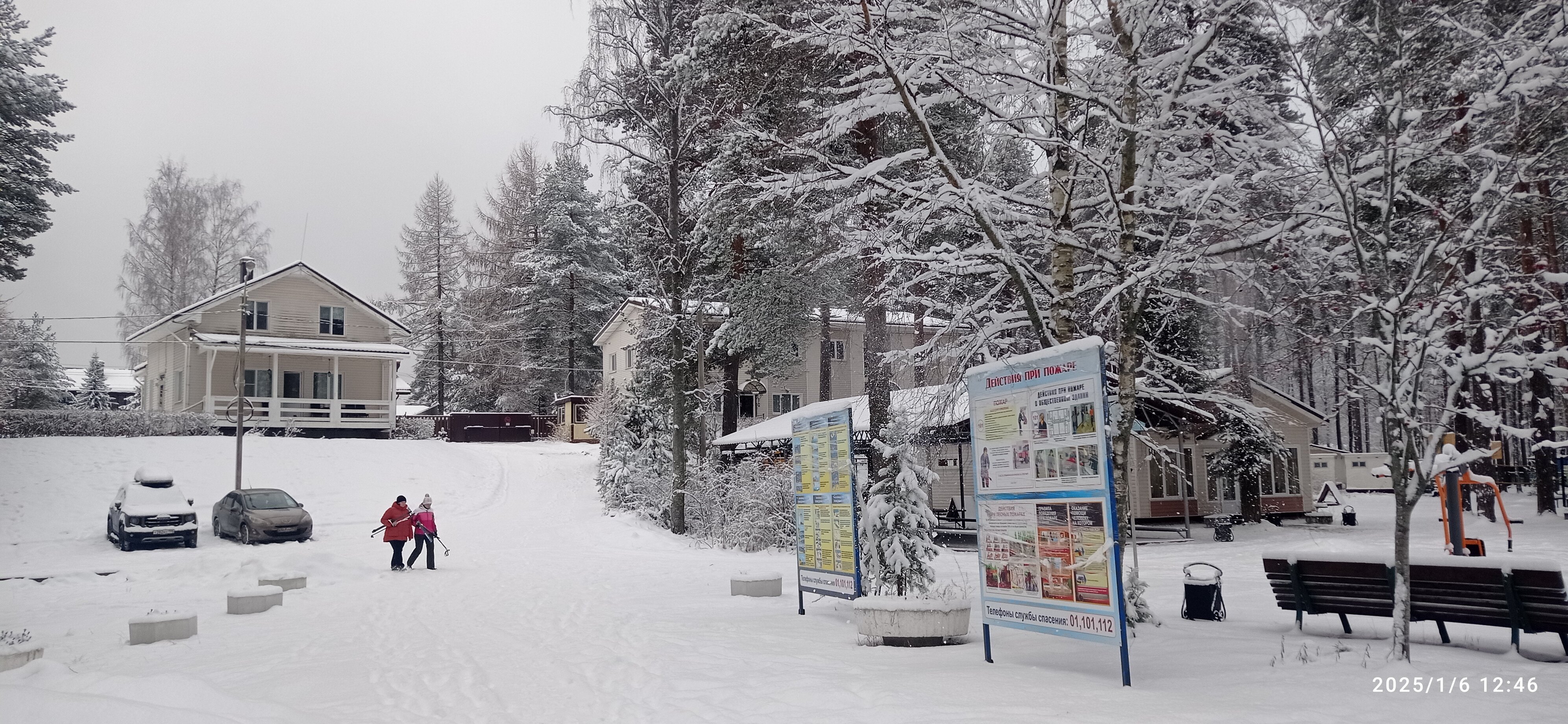 Фото Аврора