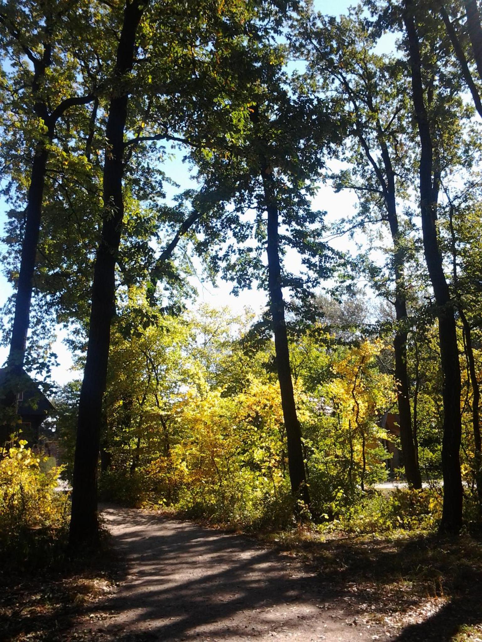 Фото Residence al Lago