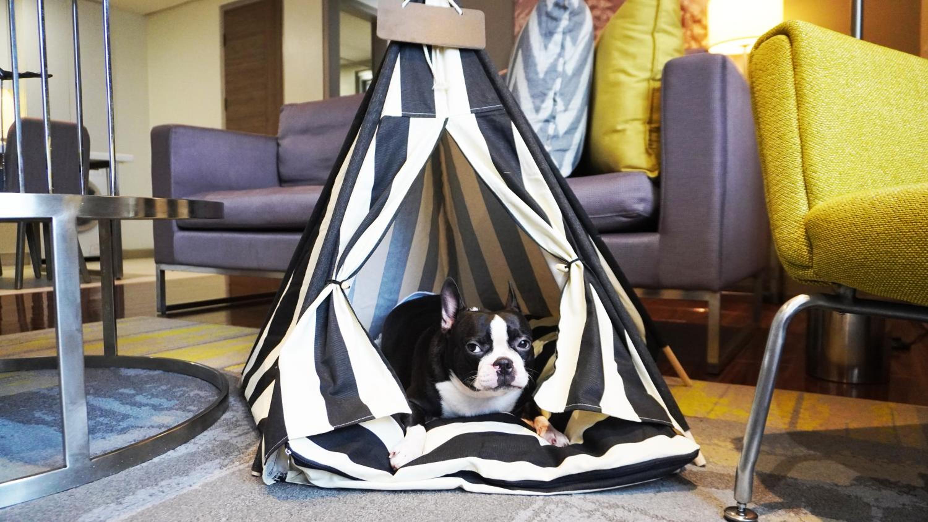 Фото Citadines Millennium Ortigas Manila