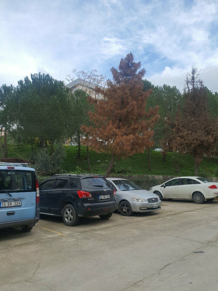 Convenience store Single Market, Izmir, photo