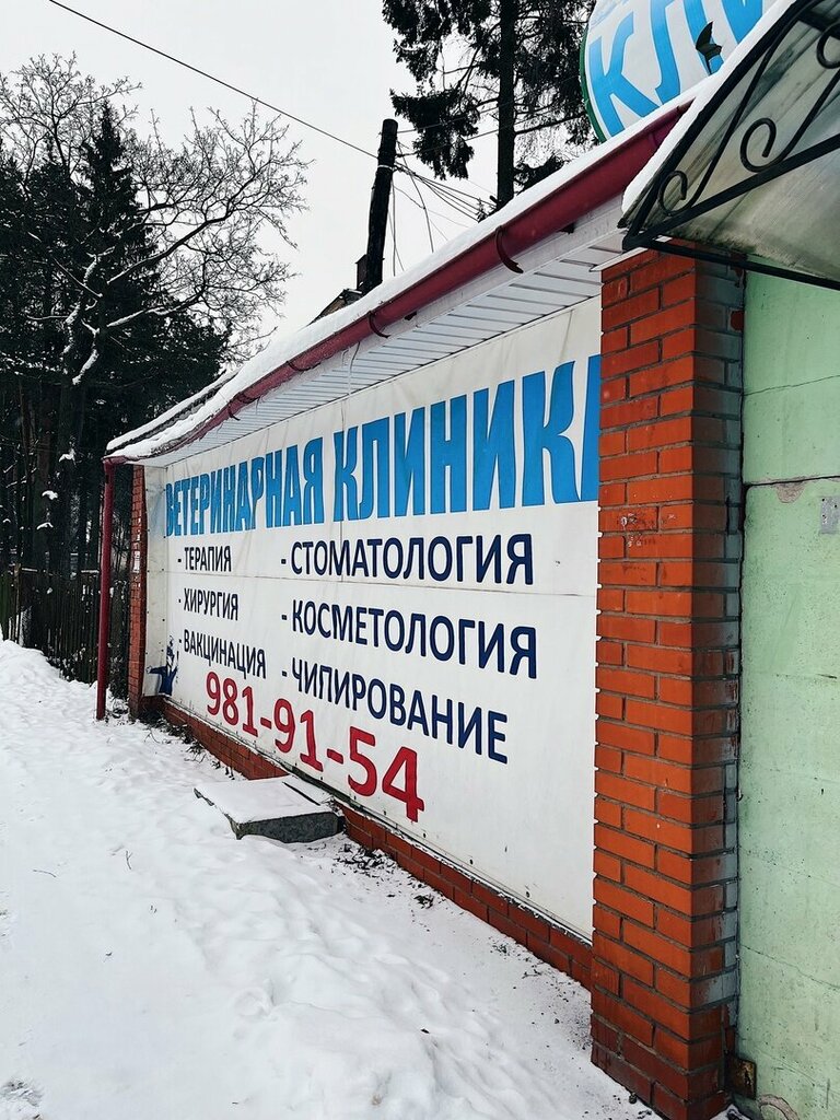 Veterinary clinic PargolovoVet, Saint Petersburg, photo