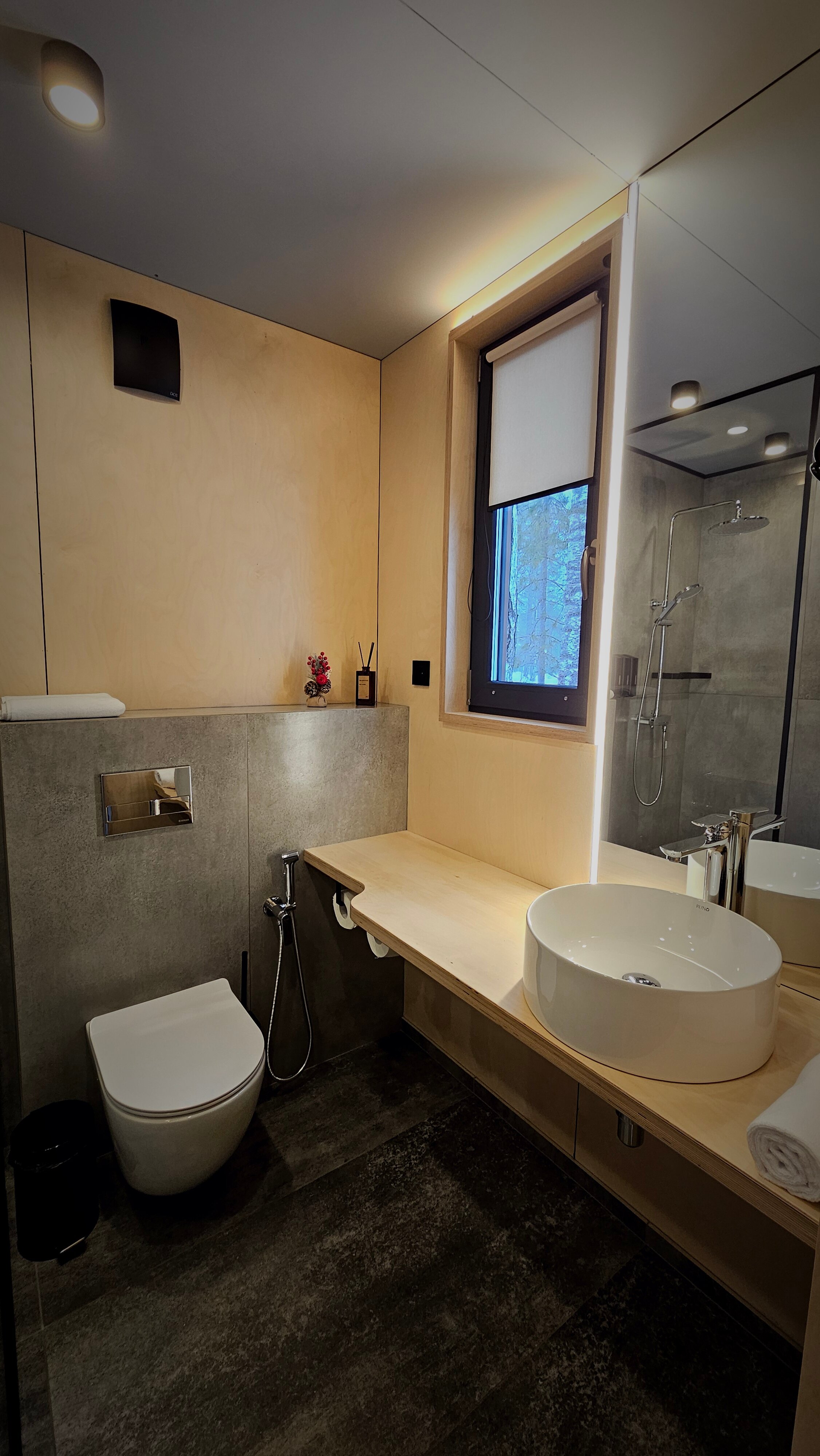 Фото Снежные Гуси