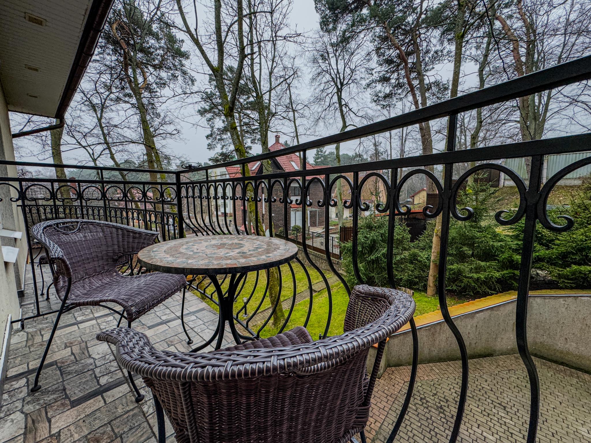 Фото Фламинго